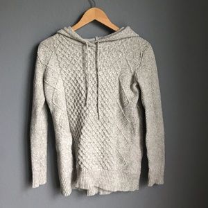 AE OVERSIZED SWEATER HOODIE